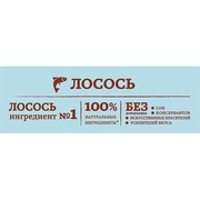 NATURE'S TABLE корм сухой для взрослых кошек лосось