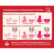 NATURE'S TABLE корм сухой для взрослых кошек лосось