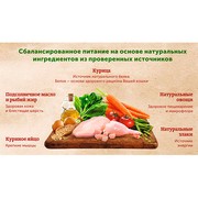 NATURE'S TABLE корм сухой для взрослых кошек курица