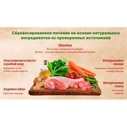 NATURE'S TABLE корм сухой для взрослых кошек индейка
