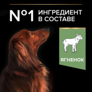 Сухой корм PRO PLAN SENSITIVE DIGESTION для взрослых собак мелких и карликовых пород с чувствительным пищеварением, с высоким содержанием ягненк