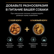 Сухой корм PRO PLAN SENSITIVE DIGESTION для взрослых собак мелких и карликовых пород с чувствительным пищеварением, с высоким содержанием ягненк