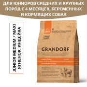 Grandorf Lamb & Turkey Junior Medium and Maxi корм сухой для юниоров средних и крупных пород с 4 месяцев, беременных и кормящих собак