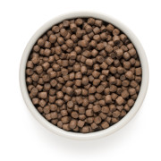 Grandorf dog 4 Meat Probiotic mini корм сухой для взрослых собак мелких пород с нормальной активностью, чувствительным пищеварением или склонных к аллергии