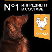 Pro Plan OptiAge Small & Mini Adult 9+ с курицей Корм сухой для пожилых собак мелких и карликовых пород