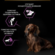 Pro Plan OptiAge Small & Mini Adult 9+ с курицей Корм сухой для пожилых собак мелких и карликовых пород