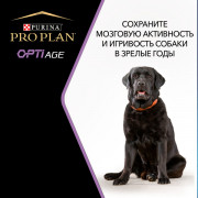 Pro Plan OptiAge Small & Mini Adult 9+ с курицей Корм сухой для пожилых собак мелких и карликовых пород
