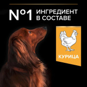 Сухой корм PRO PLAN EVERYDAY NUTRITION для взрослых собак мелких и карликовых пород, с высоким содержанием курицы