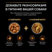 Сухой корм PRO PLAN EVERYDAY NUTRITION для взрослых собак мелких и карликовых пород, с высоким содержанием курицы
