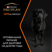 Сухой корм PRO PLAN EVERYDAY NUTRITION для взрослых собак мелких и карликовых пород, с высоким содержанием курицы