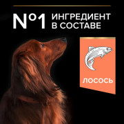 Сухой корм PRO PLAN SENSITIVE SKIN для взрослых собак мелких и карликовых пород с чувствительной кожей, с высоким содержанием лосося