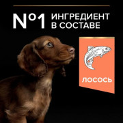 Pro Plan OptiDerma Sensitive Skin Small & Mini Puppy с лососем Корм сухой для щенков мелких и карликовых пород с чувствительной кожей