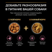 Pro Plan OptiDerma Sensitive Skin Small & Mini Puppy с лососем Корм сухой для щенков мелких и карликовых пород с чувствительной кожей