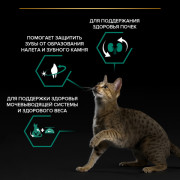 Сухой корм PRO PLAN Sterilised RENAL PLUS для взрослых стерилизованных кошек для поддержания здоровья почек, с высоким содержанием лосося