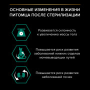 Сухой корм PRO PLAN Sterilised RENAL PLUS для взрослых стерилизованных кошек для поддержания здоровья почек, с высоким содержанием лосося