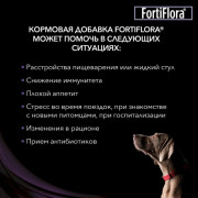 Purina Pro Plan Veterinary Diets Forti Flora пищевая добавка для собак и щенков с пробиотиком для поддержания баланса микрофлоры и здоровья кишечника