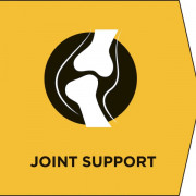 Purina Pro Plan Veterinary Diets JM Joint Mobility корм сухой для щенков, взрослых и пожилых собак с питательными веществами для поддержки работы суставов