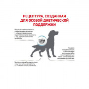 Royal Canin Anallergenic AN18 корм для гиперчувствительных собак при пищевой аллергии