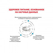 Royal Canin Anallergenic AN18 корм для гиперчувствительных собак при пищевой аллергии