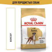 Royal Canin Boxer Adult Корм сухой для взрослых и стареющих собак породы боксер от 15 месяцев