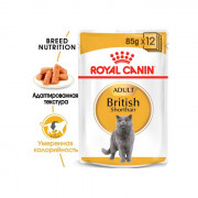 Royal Canin British Shorthair Adult влажный корм для кошек Британская короткошерстная, пауч