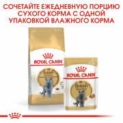 Royal Canin British Shorthair Adult влажный корм для кошек Британская короткошерстная, пауч