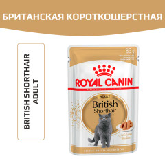 Royal Canin British Shorthair Adult влажный корм для кошек Британская короткошерстная, пауч