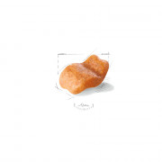 Royal Canin Bulldog Adult Корм сухой для взрослых собак породы Бульдог от 12 месяцев