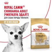 Royal Canin Chihuahua Adult Корм сухой для взрослых собак породы Чихуахуа от 8 месяцев