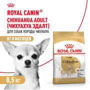 Royal Canin Chihuahua Adult Корм сухой для взрослых собак породы Чихуахуа от 8 месяцев