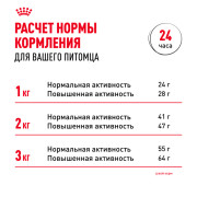 Royal Canin Chihuahua Adult Корм сухой для взрослых собак породы Чихуахуа от 8 месяцев