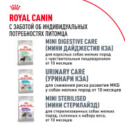 Royal Canin Chihuahua Adult Корм сухой для взрослых собак породы Чихуахуа от 8 месяцев