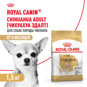 Royal Canin Chihuahua Adult Корм сухой для взрослых собак породы Чихуахуа от 8 месяцев
