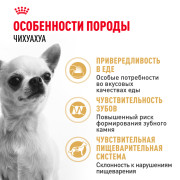 Royal Canin Chihuahua Adult Корм сухой для взрослых собак породы Чихуахуа от 8 месяцев