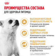Royal Canin Chihuahua Adult Корм сухой для взрослых собак породы Чихуахуа от 8 месяцев