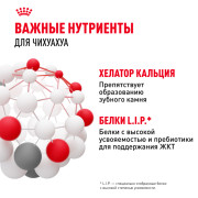 Royal Canin Chihuahua Adult Корм сухой для взрослых собак породы Чихуахуа от 8 месяцев