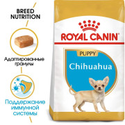 Royal Canin Chihuahua Puppy Корм сухой для щенков породы Чихуахуа до 8 месяцев