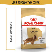 Royal Canin Cocker Adult Корм сухой для взрослых собак породы Кокер Спаниель от 12 месяцев