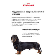 Royal Canin Dachshund Adult Корм сухой для взрослых собак породы Такса от 10 месяцев