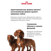 Royal Canin Dachshund Adult Корм сухой для взрослых собак породы Такса от 10 месяцев