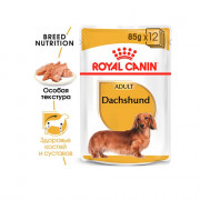 Royal Canin Dachshund Adult консервы пауч для собак породы Такса (паштет)