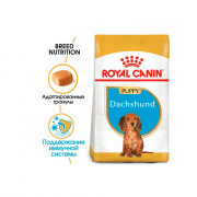 Royal Canin Dachshund Puppy корм для щенков породы Такса
