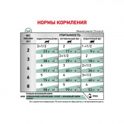 Royal Canin Diabetic корм для кошек страдающих сахарным диабетом пауч