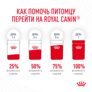 Royal Canin Digest Sensitive Дайджест Сенситив консервы для кошек с чувствительным пищеварением, пауч