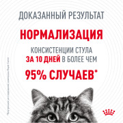 Royal Canin Digest Sensitive Дайджест Сенситив консервы для кошек с чувствительным пищеварением, пауч