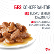 Royal Canin Digest Sensitive Дайджест Сенситив консервы для кошек с чувствительным пищеварением, пауч