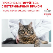 Royal Canin Neutered Weight Balance Корм диетический для взрослых котов и кошек с момента стерилизации, соус