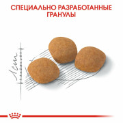 Royal Canin Protein Exigent корм для кошек, привередливых к составу продукта
