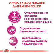 Royal Canin Protein Exigent корм для кошек, привередливых к составу продукта