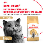 Royal Canin British Shorthair Adult Корм сухой сбалансированный для взрослых британских короткошерстных кошек